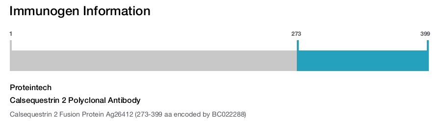 Calsequestrin 2 Polyclonal Antibody