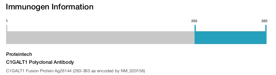 C1GALT1 Polyclonal Antibody