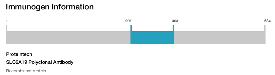 SLC6A19 Polyclonal Antibody