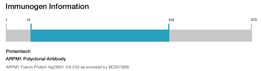 ARPM1 Polyclonal Antibody