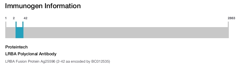 LRBA Polyclonal Antibody