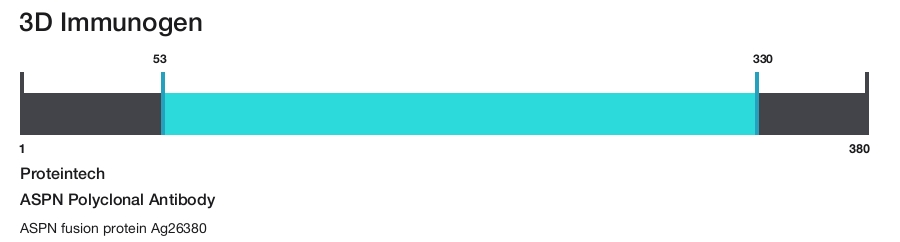 ASPN Polyclonal Antibody