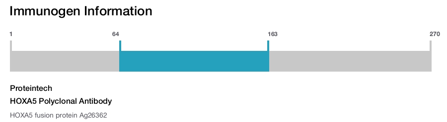 HOXA5 Polyclonal Antibody