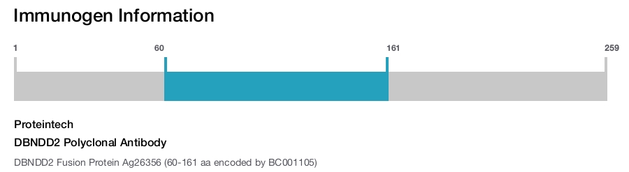 DBNDD2 Polyclonal Antibody