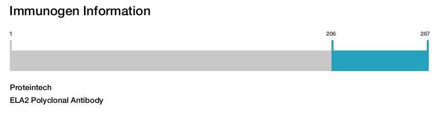 ELA2 Polyclonal Antibody