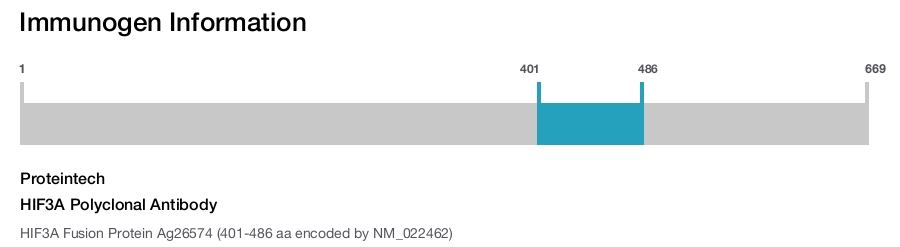 HIF3A Polyclonal Antibody