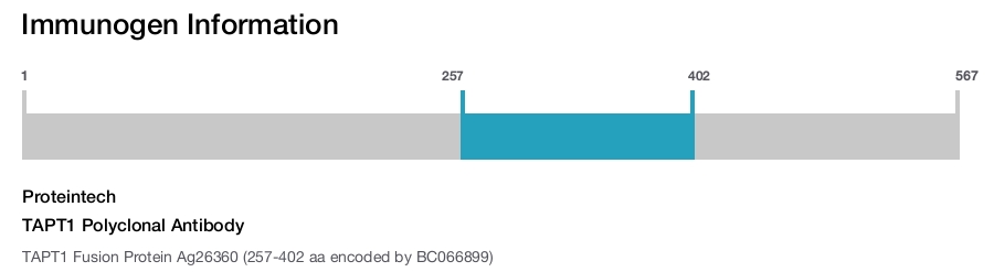 TAPT1 Polyclonal Antibody