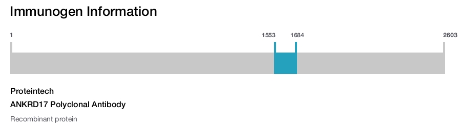 ANKRD17 Polyclonal Antibody