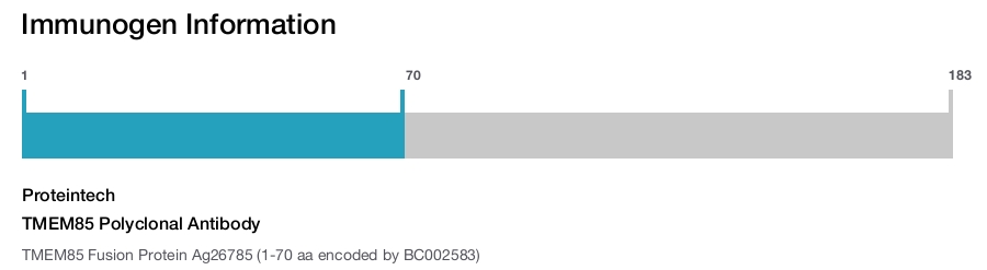 TMEM85 Polyclonal Antibody