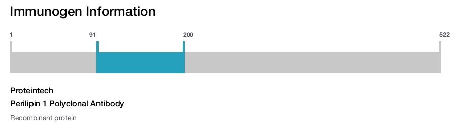 Perilipin 1 Polyclonal Antibody
