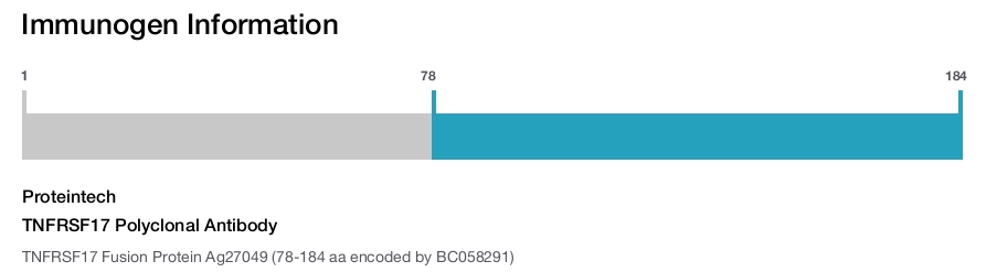 TNFRSF17 Polyclonal Antibody
