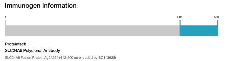 SLC24A5 Polyclonal Antibody