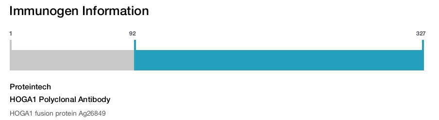 HOGA1 Polyclonal Antibody