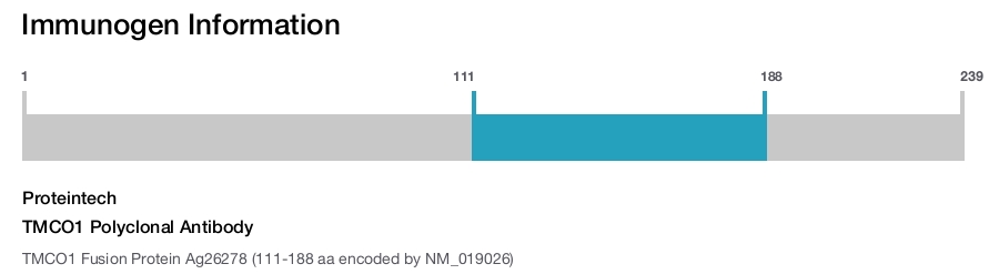 TMCO1 Polyclonal Antibody