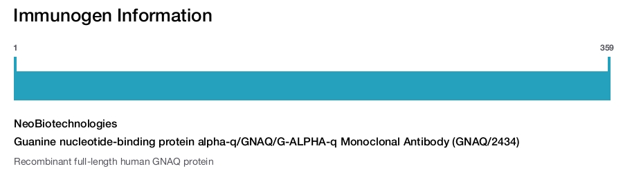 Guanine nucleotide-binding protein alpha-q/GNAQ/G-ALPHA-q Monoclonal Antibody (GNAQ/2434)