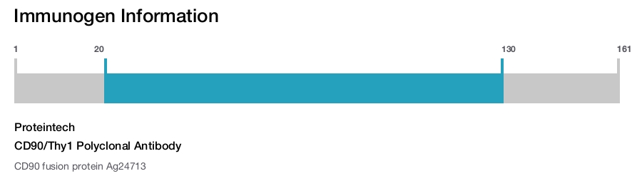 CD90/Thy1 Polyclonal Antibody