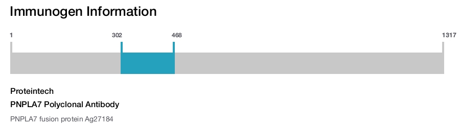 PNPLA7 Polyclonal Antibody