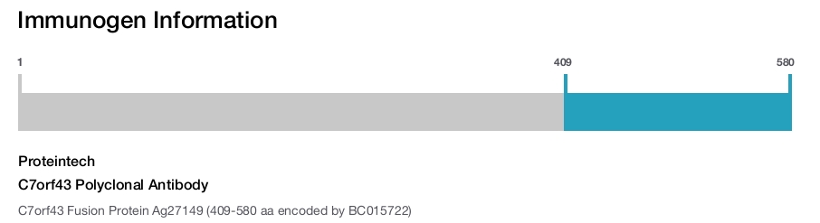 C7orf43 Polyclonal Antibody