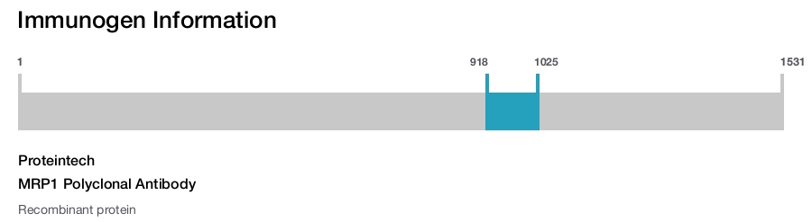 MRP1 Polyclonal Antibody