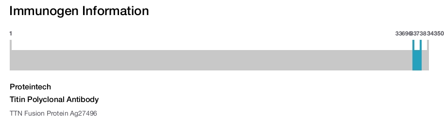 Titin Polyclonal Antibody