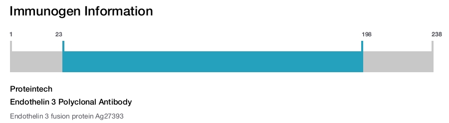 Endothelin 3 Polyclonal Antibody
