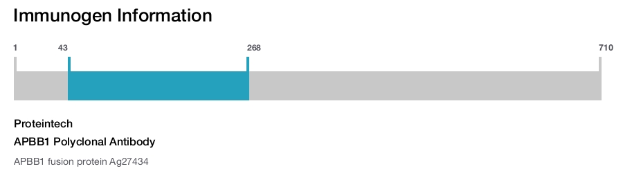 APBB1 Polyclonal Antibody