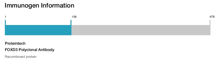 FOXD3 Polyclonal Antibody