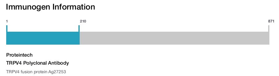 TRPV4 Polyclonal Antibody