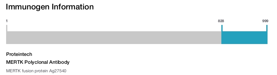 MERTK Polyclonal Antibody