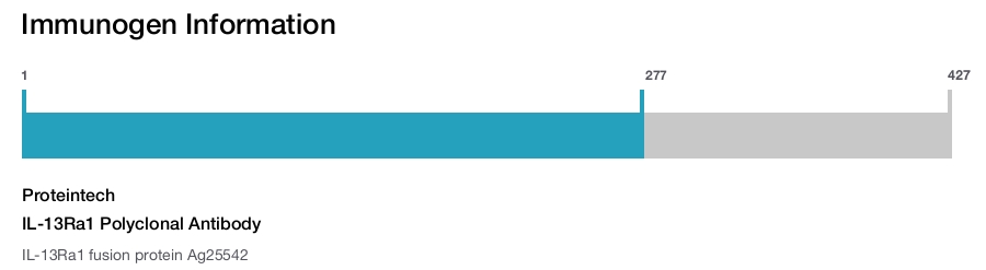 IL-13Ra1 Polyclonal Antibody