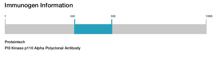 PI3 Kinase p110 Alpha Polyclonal Antibody