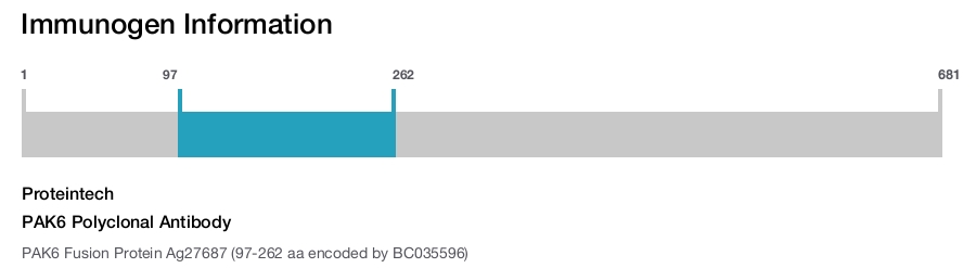 PAK6 Polyclonal Antibody