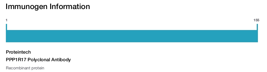 PPP1R17 Polyclonal Antibody