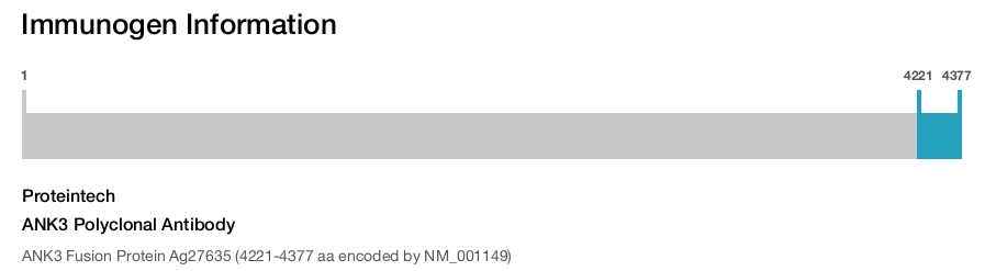 ANK3 Polyclonal Antibody