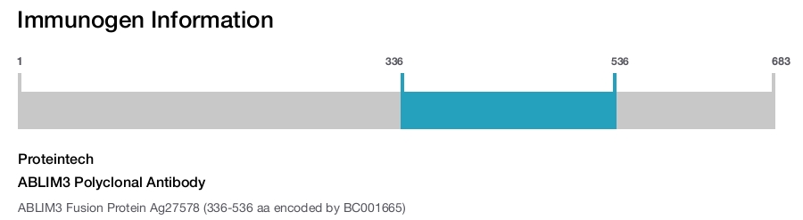 ABLIM3 Polyclonal Antibody