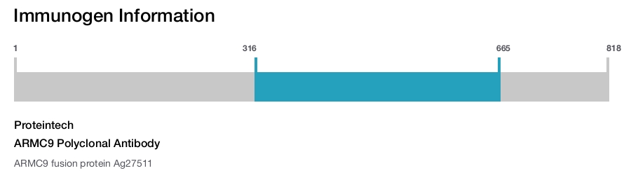 ARMC9 Polyclonal Antibody