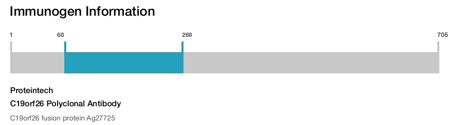 C19orf26 Polyclonal Antibody