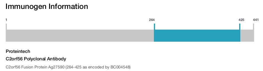 C2orf56 Polyclonal Antibody