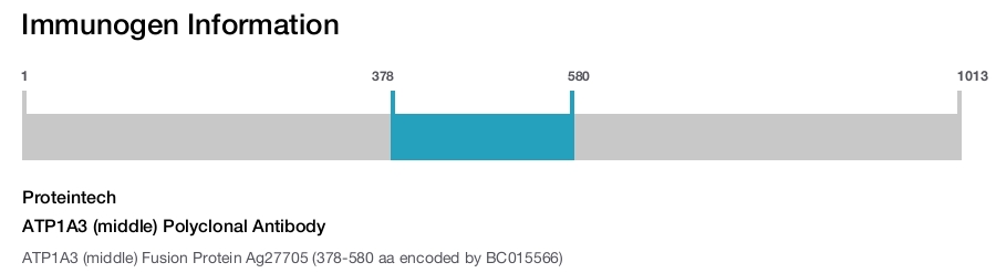 ATP1A3 (middle) Polyclonal Antibody
