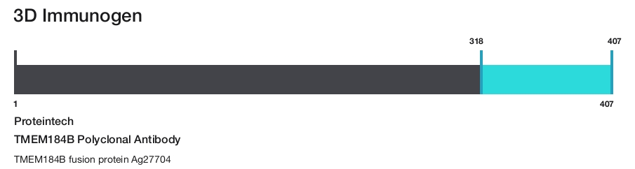 TMEM184B Polyclonal Antibody