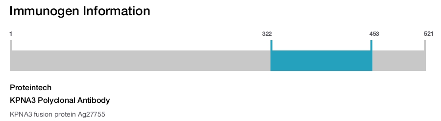 KPNA3 Polyclonal Antibody