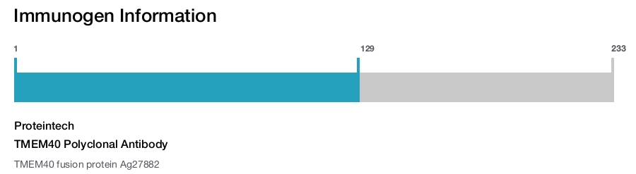 TMEM40 Polyclonal Antibody