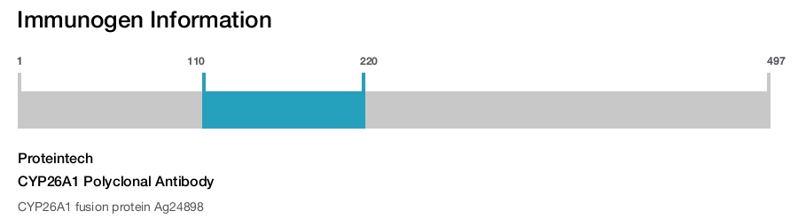 CYP26A1 Polyclonal Antibody
