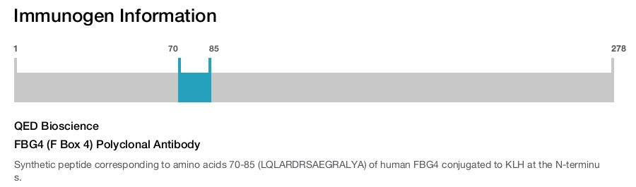 FBG4 (F Box 4) Polyclonal Antibody