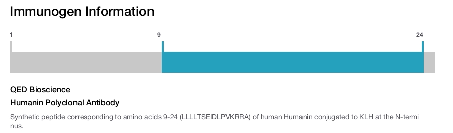 Humanin Polyclonal Antibody