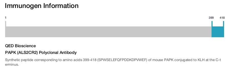 PAPK (ALS2CR2) Polyclonal Antibody