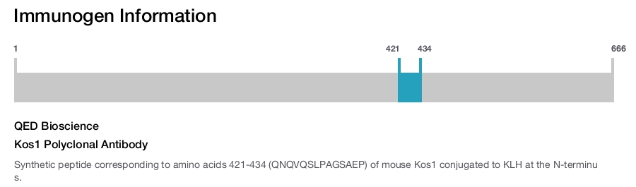 Kos1 Polyclonal Antibody