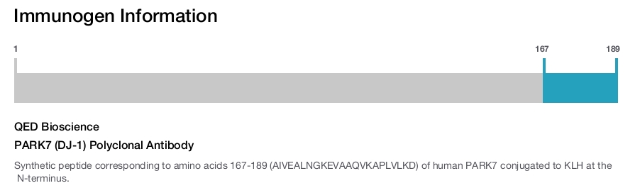 PARK7 (DJ-1) Polyclonal Antibody