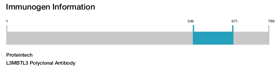 L3MBTL3 Polyclonal Antibody