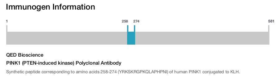 PINK1 (PTEN-induced kinase) Polyclonal Antibody